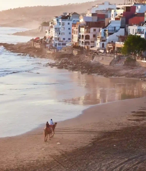 Taghazout-Morocco-beach-camel