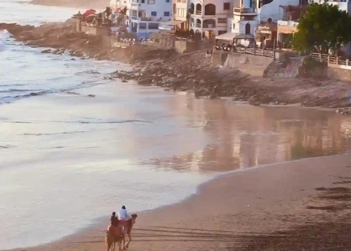 Taghazout-Morocco-beach-camel