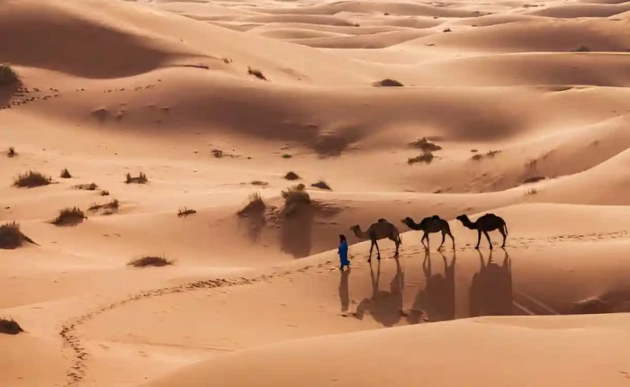 Zagora-4-days